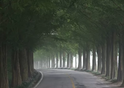 REPORT : Ambiguïté et économie